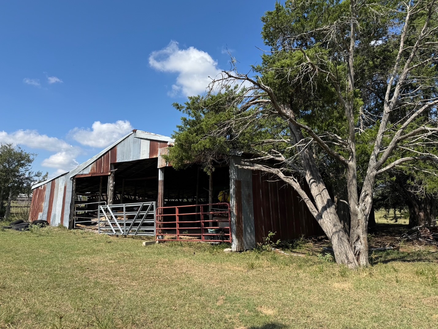 13115 Schoenemann Road Carmine, TX 78932 - Photo 10 of 15