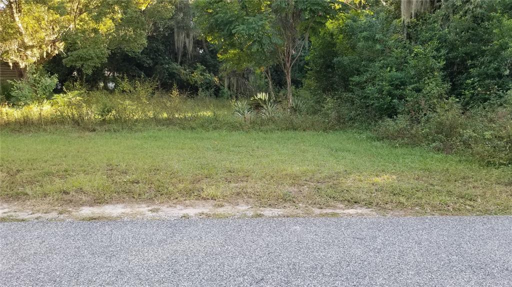 175 Florida Avenue Geneva, FL 32732 - Photo 1 of 1