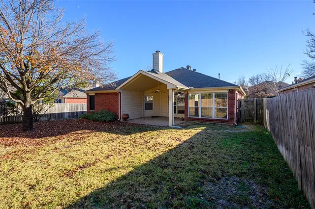 a view of backyard with tree