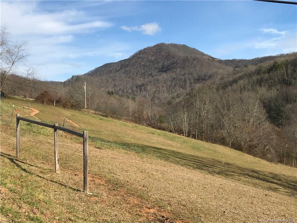 3760 Hyder Mountain Road Clyde, NC 28721 - Photo 5 of 14 a view of a yard with mountain