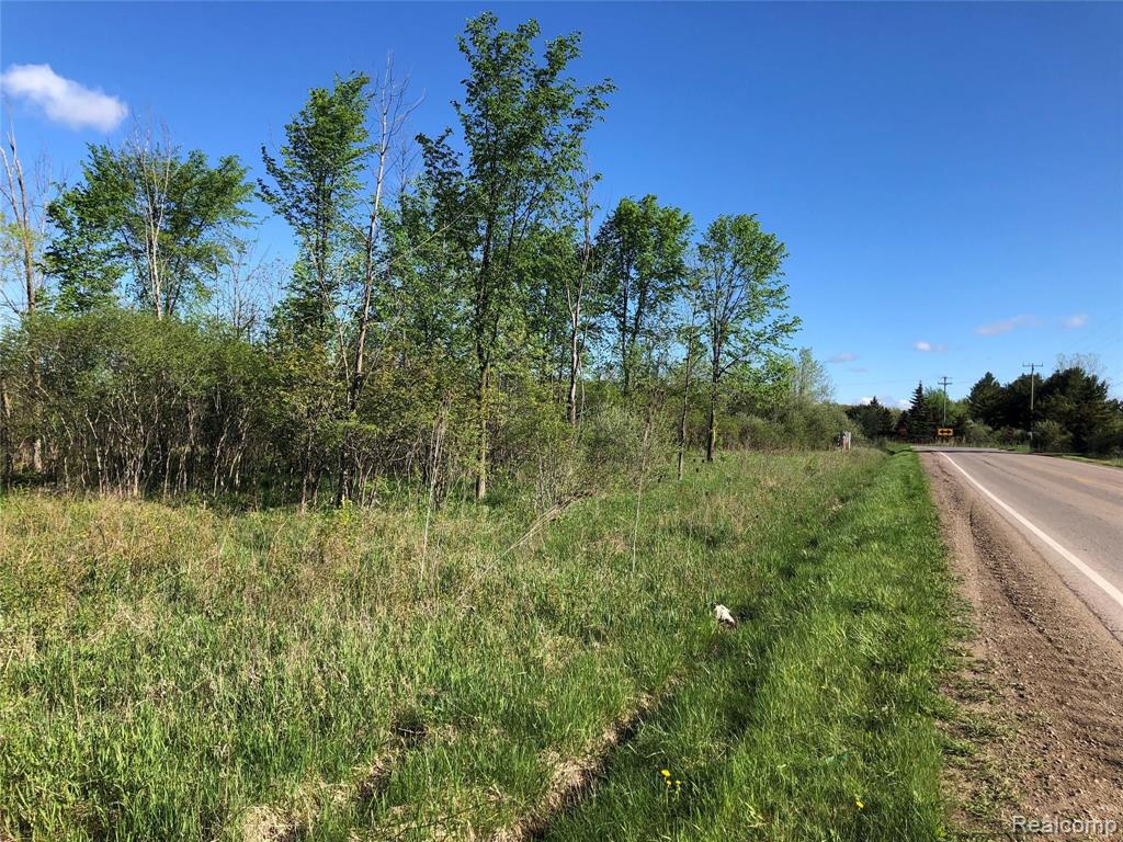 Parcel D Graham Road Imlay City, MI 48444 - Photo 2 of 3