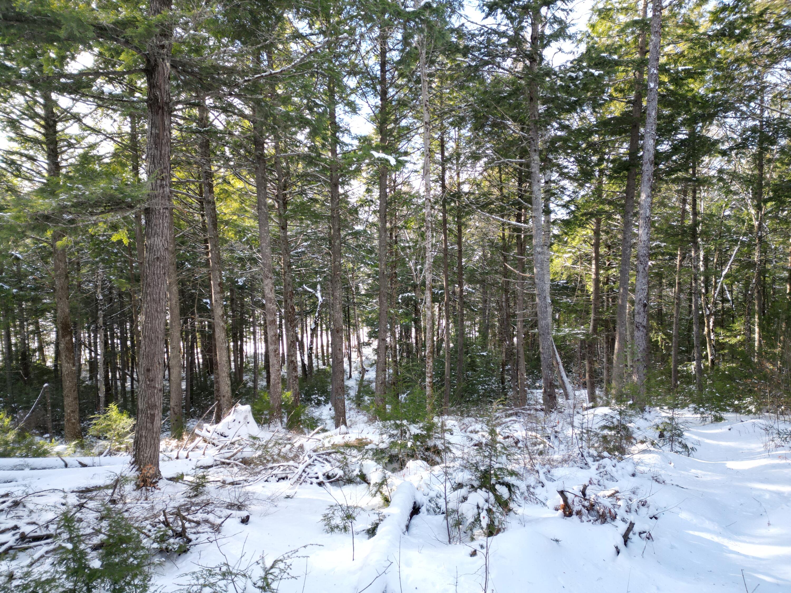 16 Crooked Pond Road Lincoln, ME 04457 - Photo 10 of 24 DJI_0962