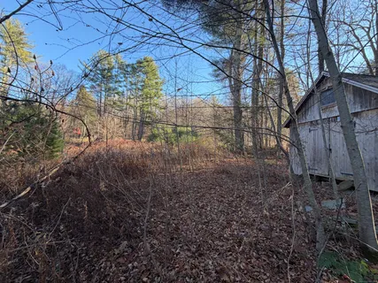 a view of a backyard of the house