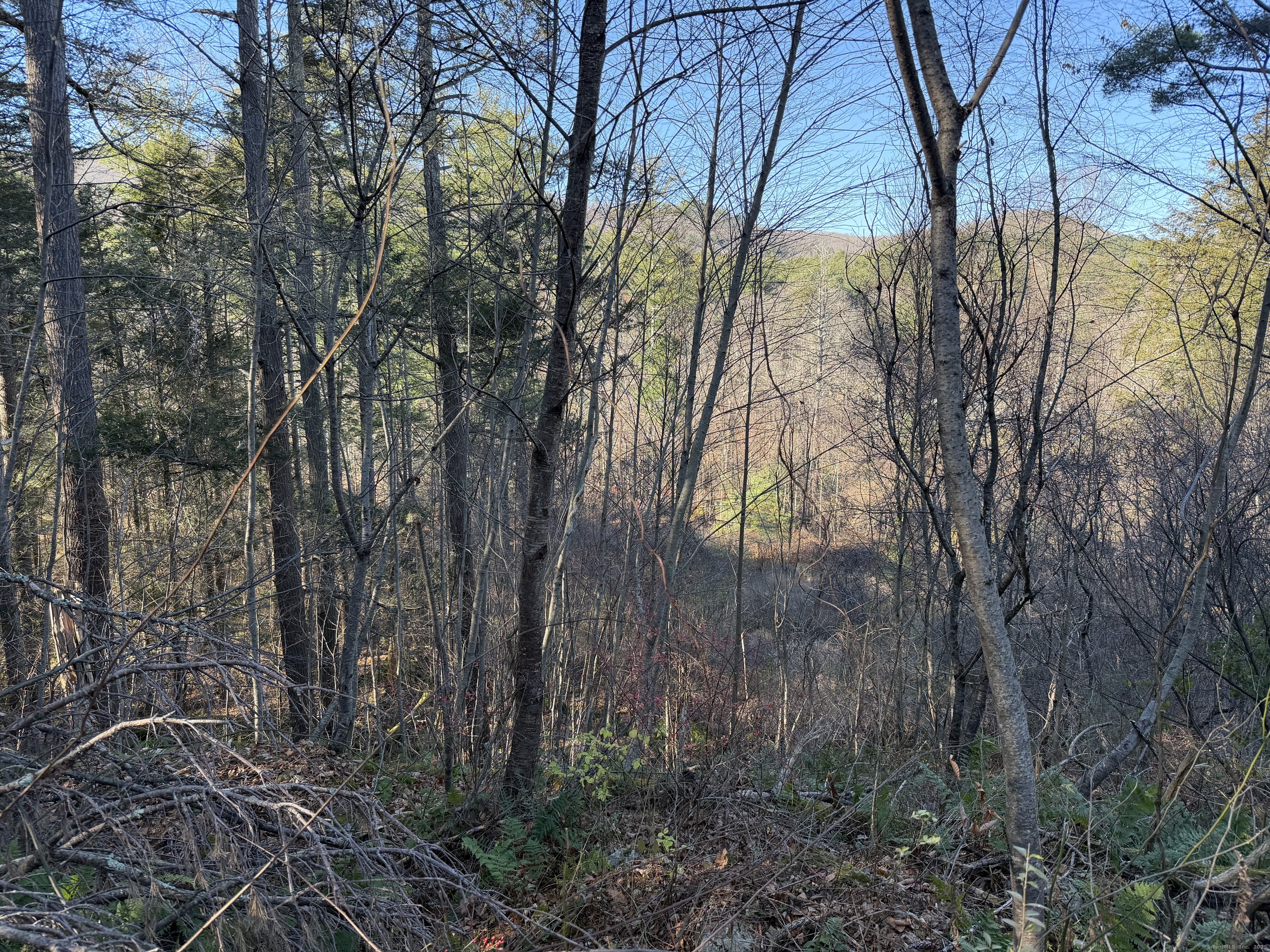 70 Kent Road South Cornwall, CT 06754 - Photo 12 of 13 a backyard of a house with lots of green space