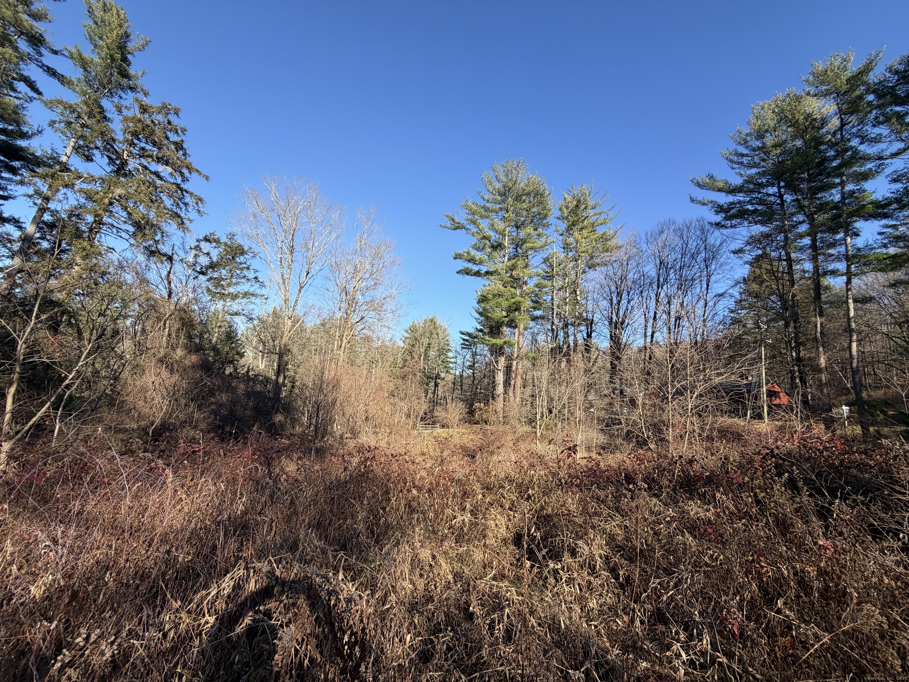 70 Kent Road South Cornwall, CT 06754 - Photo 5 of 13 a view of a yard with plants and a large tree