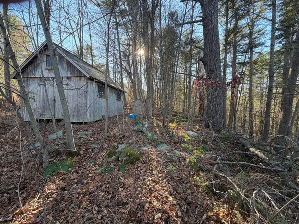 a view of a wooden house with large trees