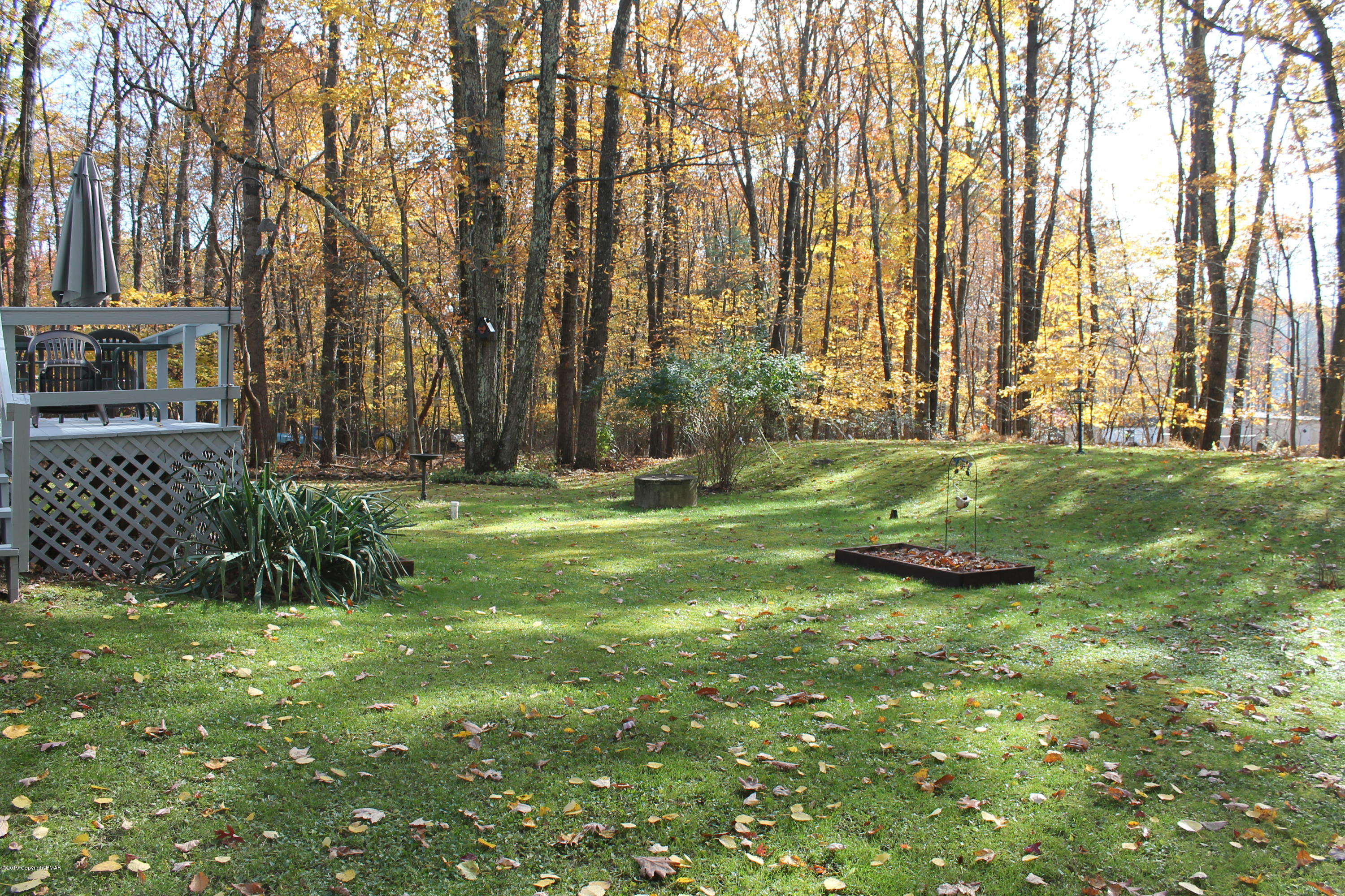 1110 Silver Maple Road West Effort, PA 18330 - Photo 6 of 6 a view of a park with a tree