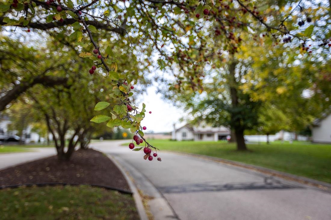 2679 Woodside Drive Beloit, WI 53511 - Photo 23 of 25