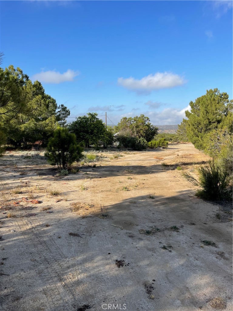 54080 Wellman Road Anza, CA 92539 - Photo 26 of 29