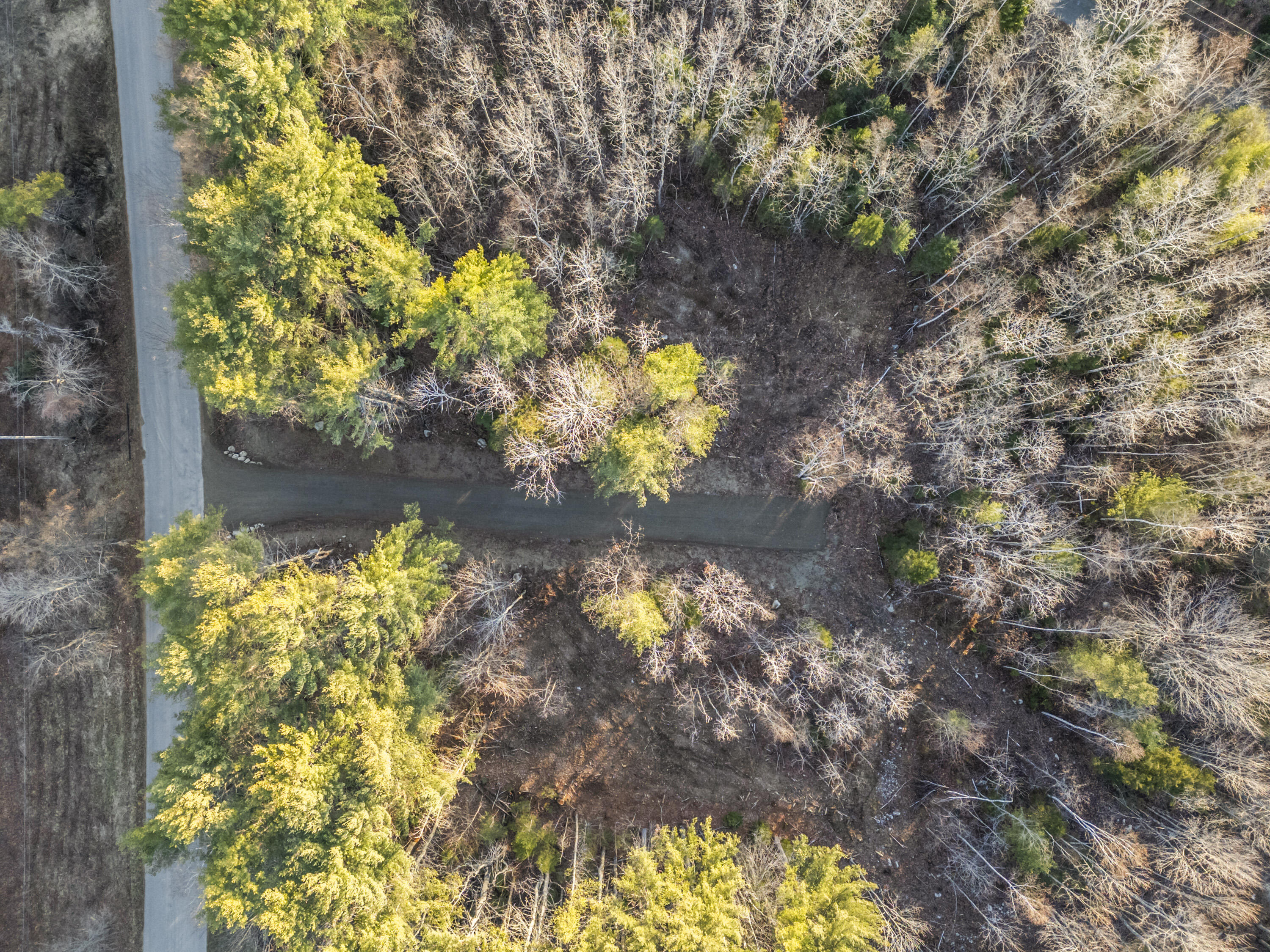 Lot 1 Hostile Valley Road Palermo, ME 04354 - Photo 2 of 42 105 - LOT 1 2