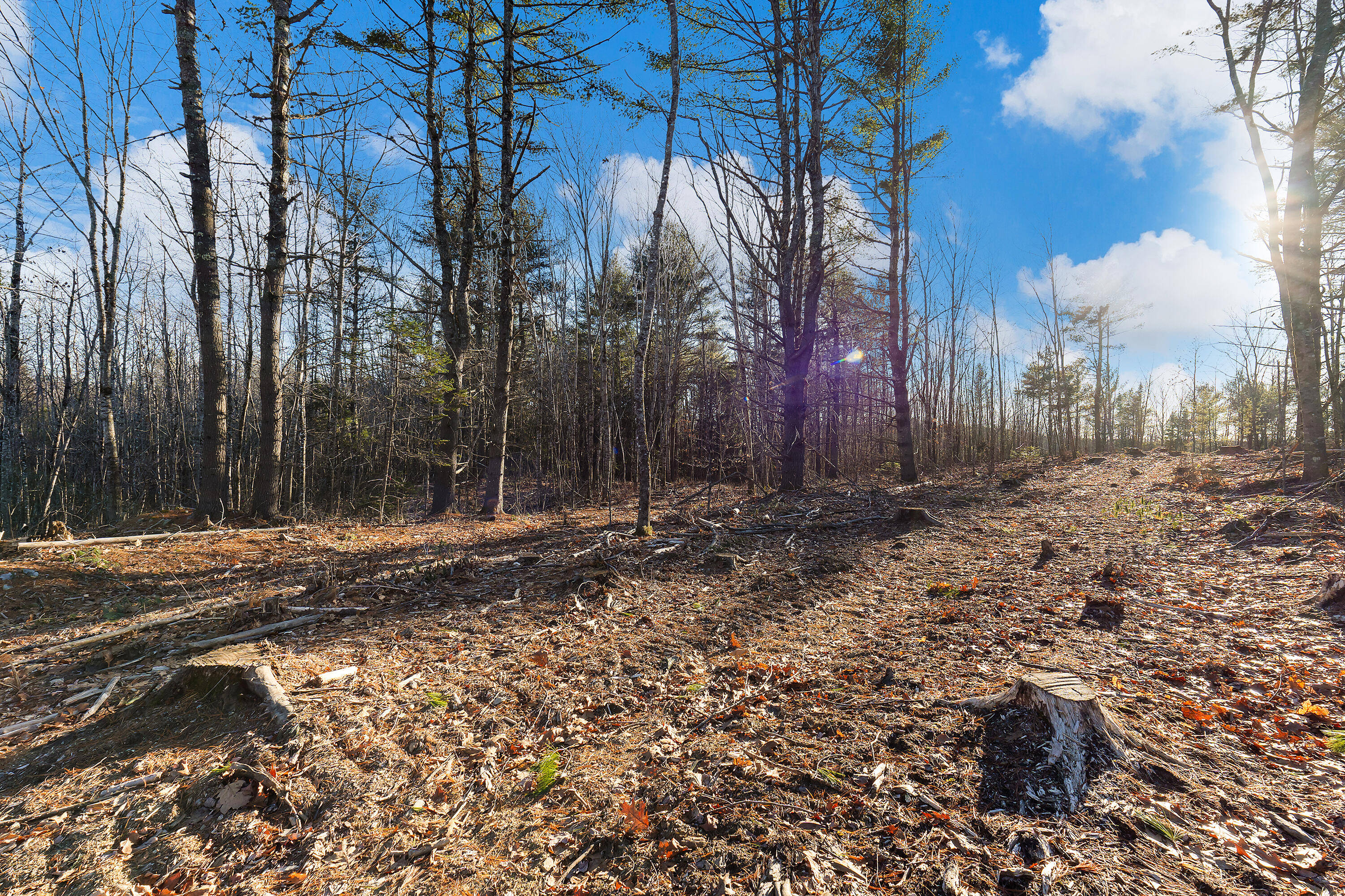 Lot 1 Hostile Valley Road Palermo, ME 04354 - Photo 3 of 42 0153 - Lot 01