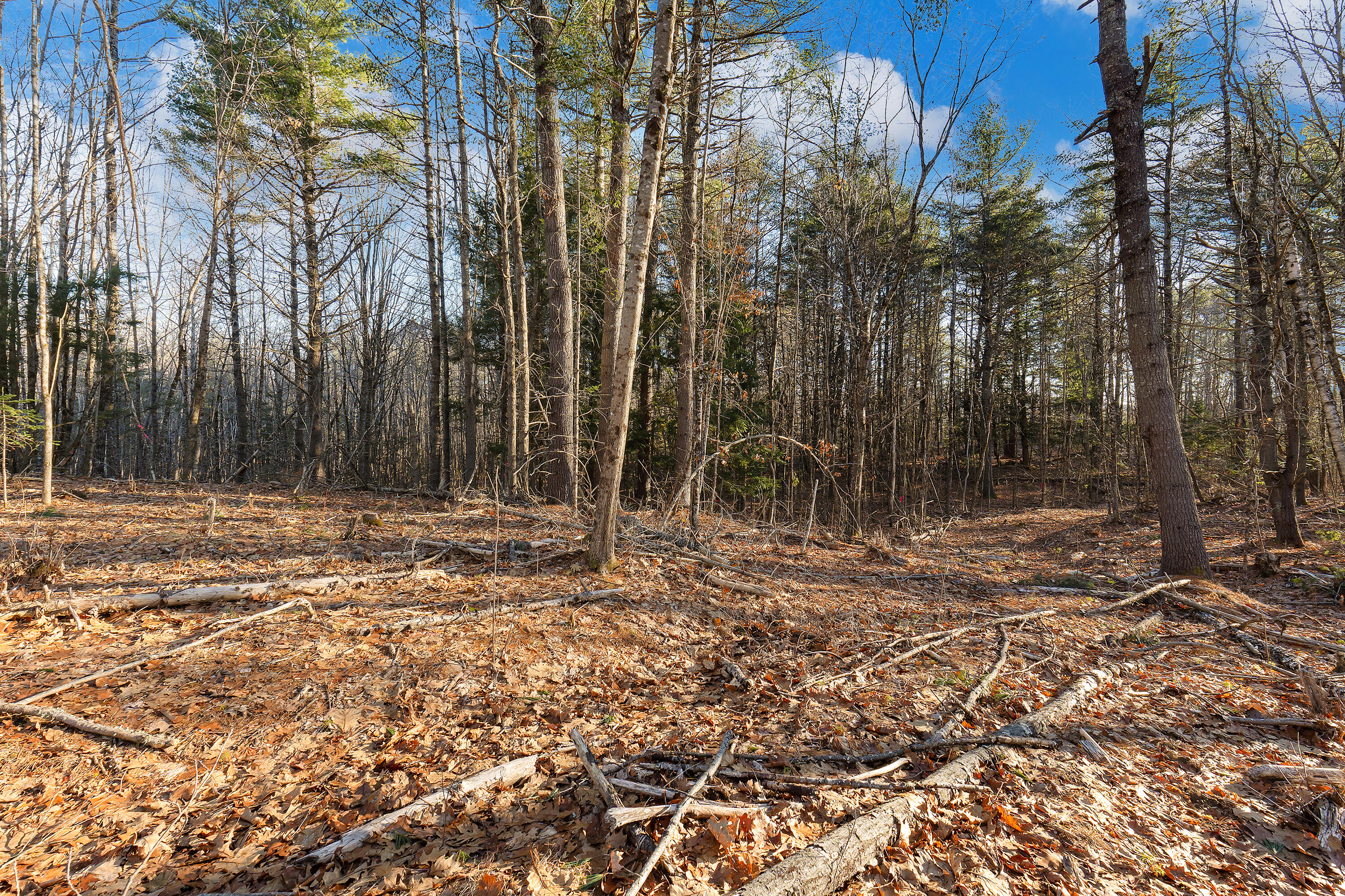 Lot 1 Hostile Valley Road Palermo, ME 04354 - Photo 4 of 42 0154 - Lot 01