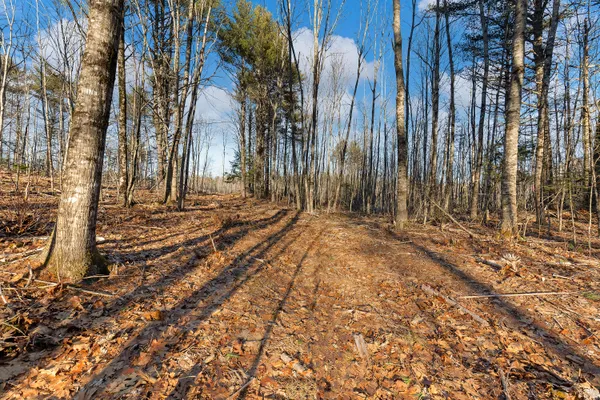 $34,900 | Lot 1 Hostile Valley Road, Palermo, ME 04354