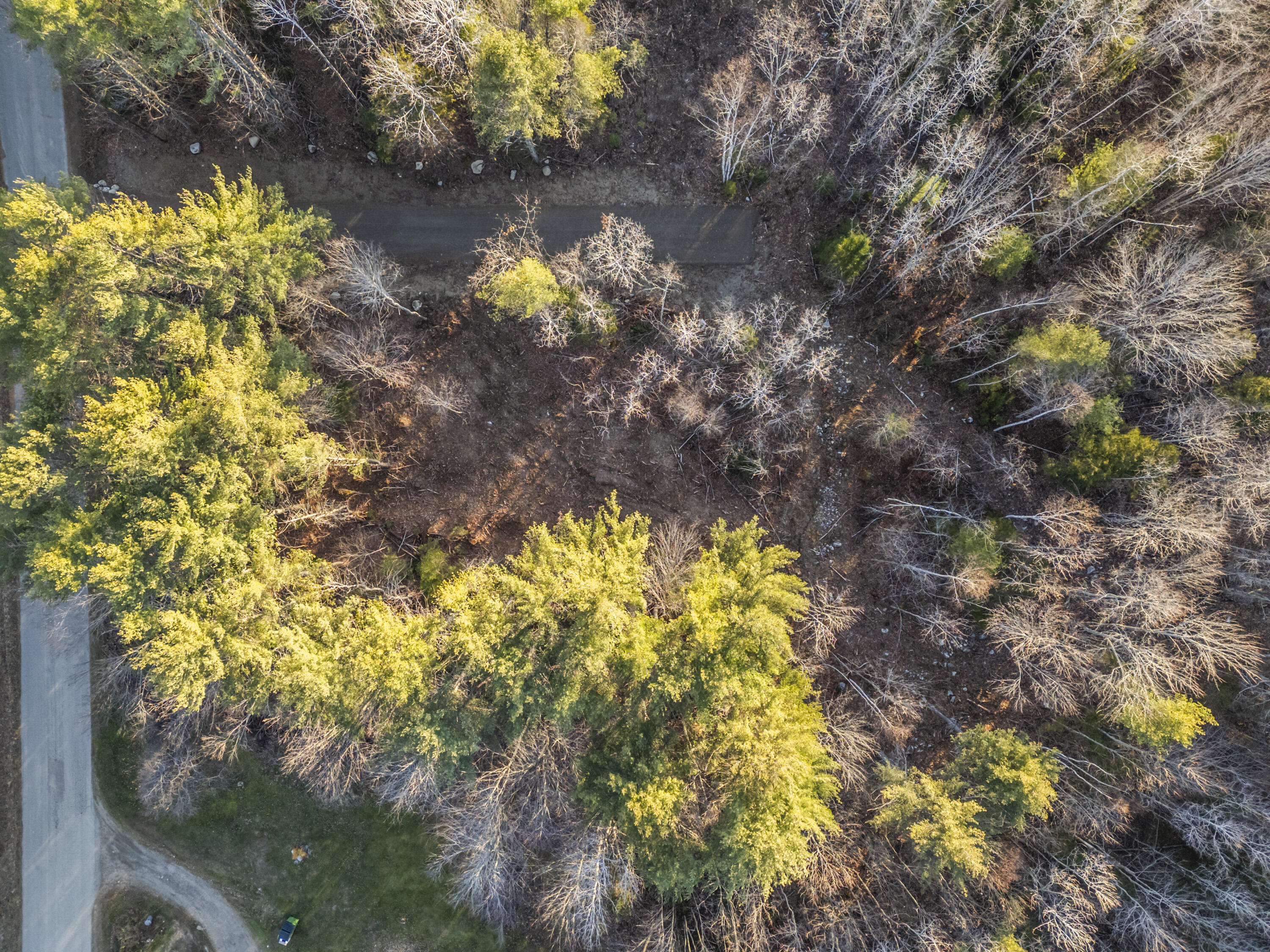 Lot 1 Hostile Valley Road Palermo, ME 04354 - Photo 6 of 42 107 - LOT 1