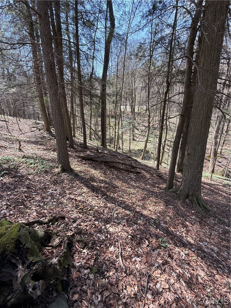 6437 West Scott Road Scott, NY 13077 - Photo 18 of 31