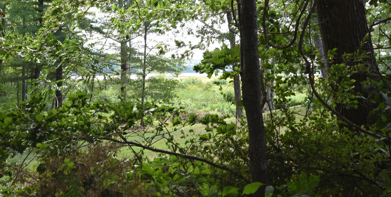 21 Thunder Road Saco, ME 04072 - Photo 41 of 52 SEASONAL RIVER VIEWS