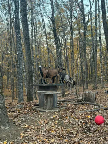 $399,900 | 2875 North Palermo Road, Freedom, ME 04941