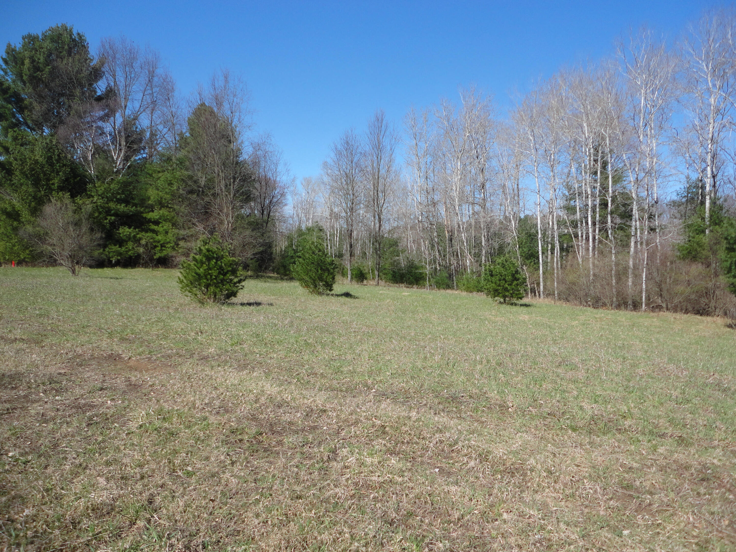 10825 8 Mile Road Kaleva, MI 49645 - Photo 4 of 11 4