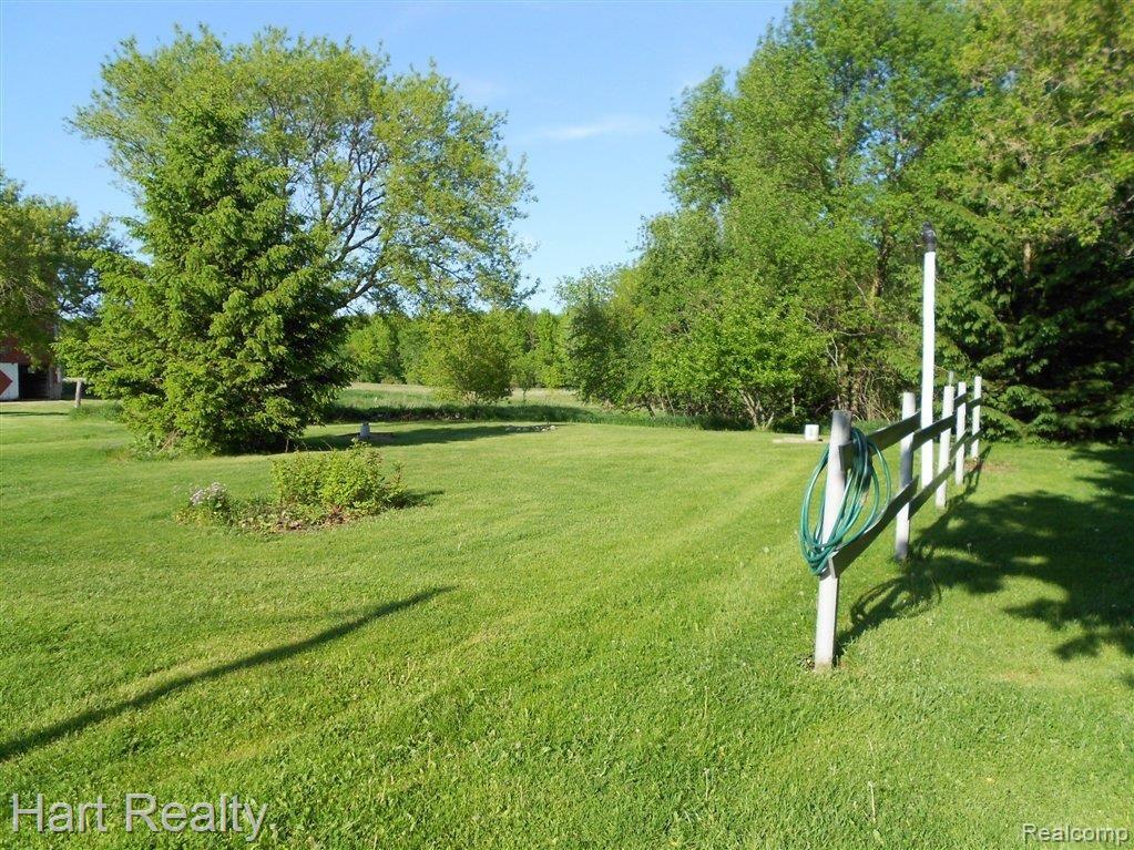 008.JPG