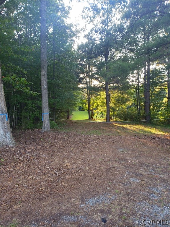 8.943 Chula Road Amelia Court House, VA 23002 - Photo 16 of 21 Gallery Image 16