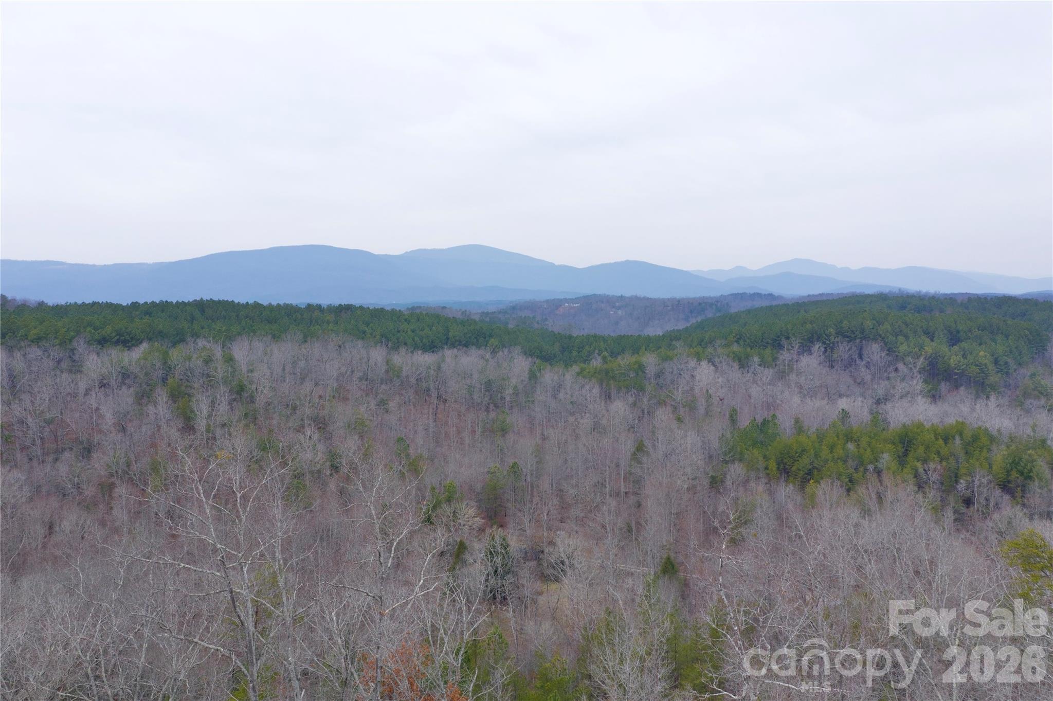 1140 Hwy 9 Hwy Mill Spring Mill Spring, NC 28756 - Photo 3 of 12 a view of mountain with outdoor space