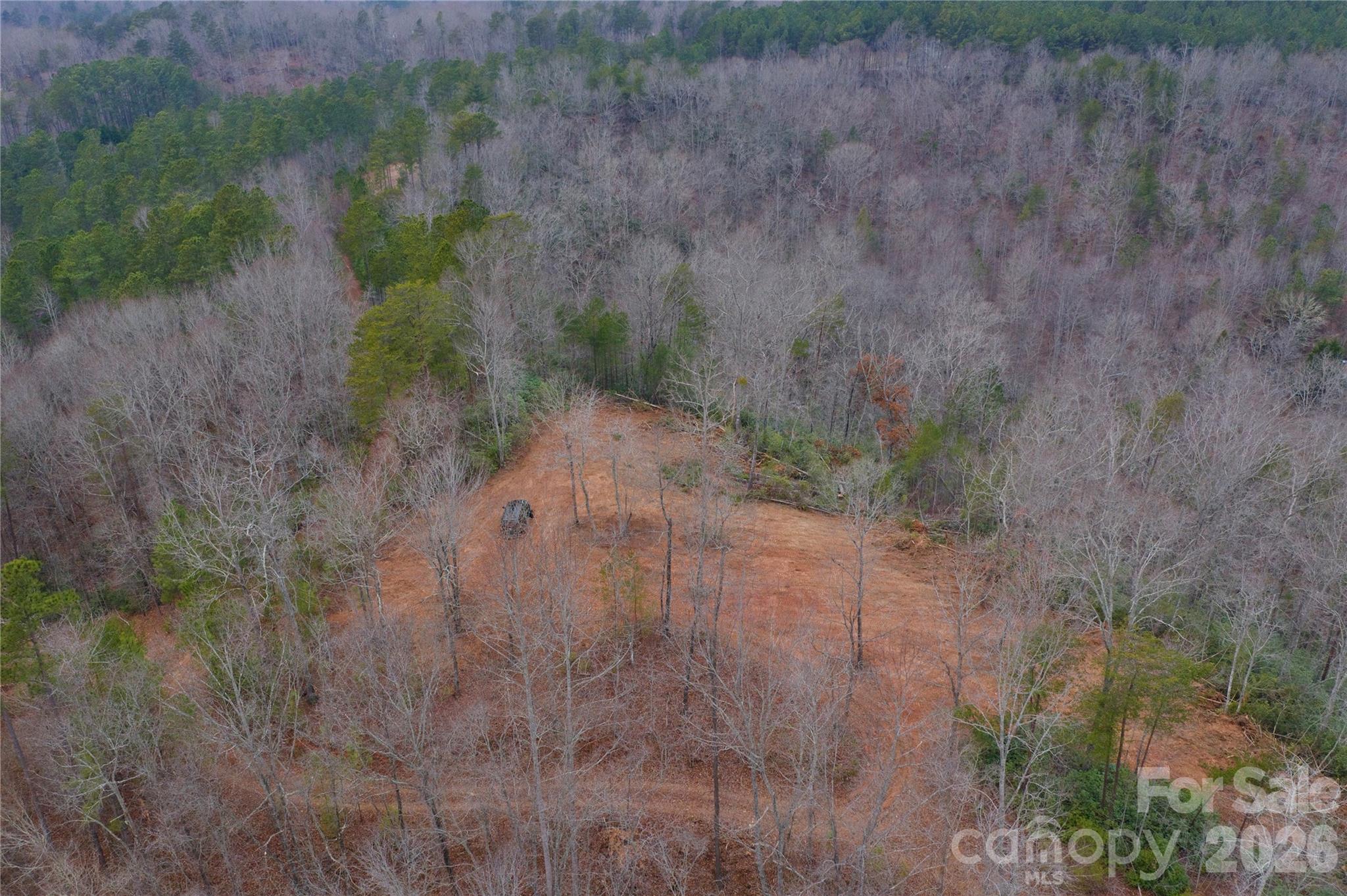 1140 Hwy 9 Hwy Mill Spring Mill Spring, NC 28756 - Photo 6 of 12 a view of a dry yard