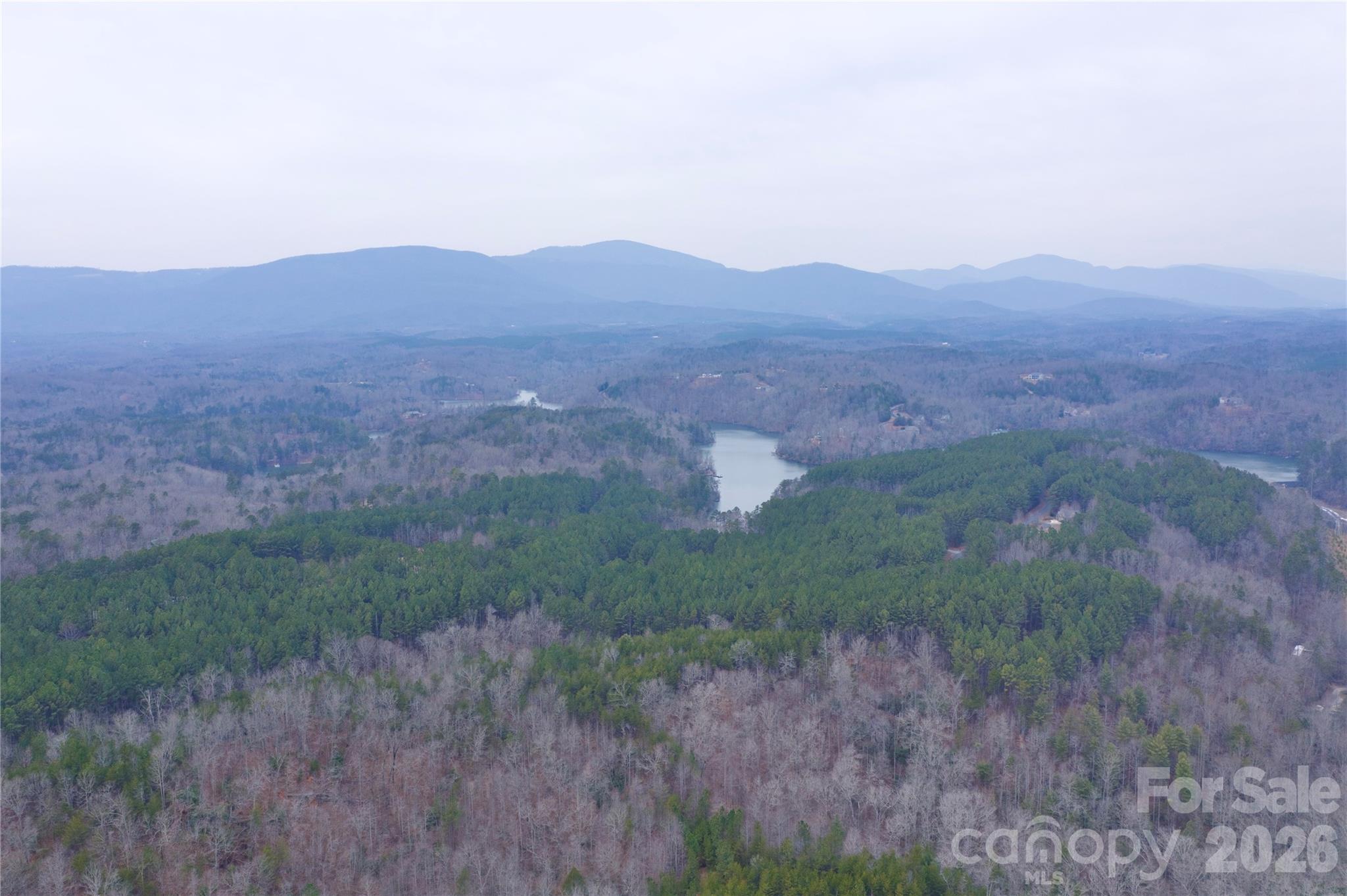 1140 Hwy 9 Hwy Mill Spring Mill Spring, NC 28756 - Photo 7 of 12 a view of a dry field