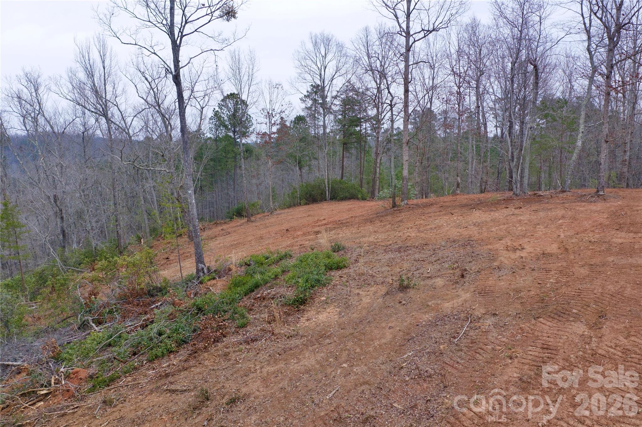 1140 Hwy 9 Hwy Mill Spring Mill Spring, NC 28756 - Photo 10 of 12 a backyard of a house with large trees
