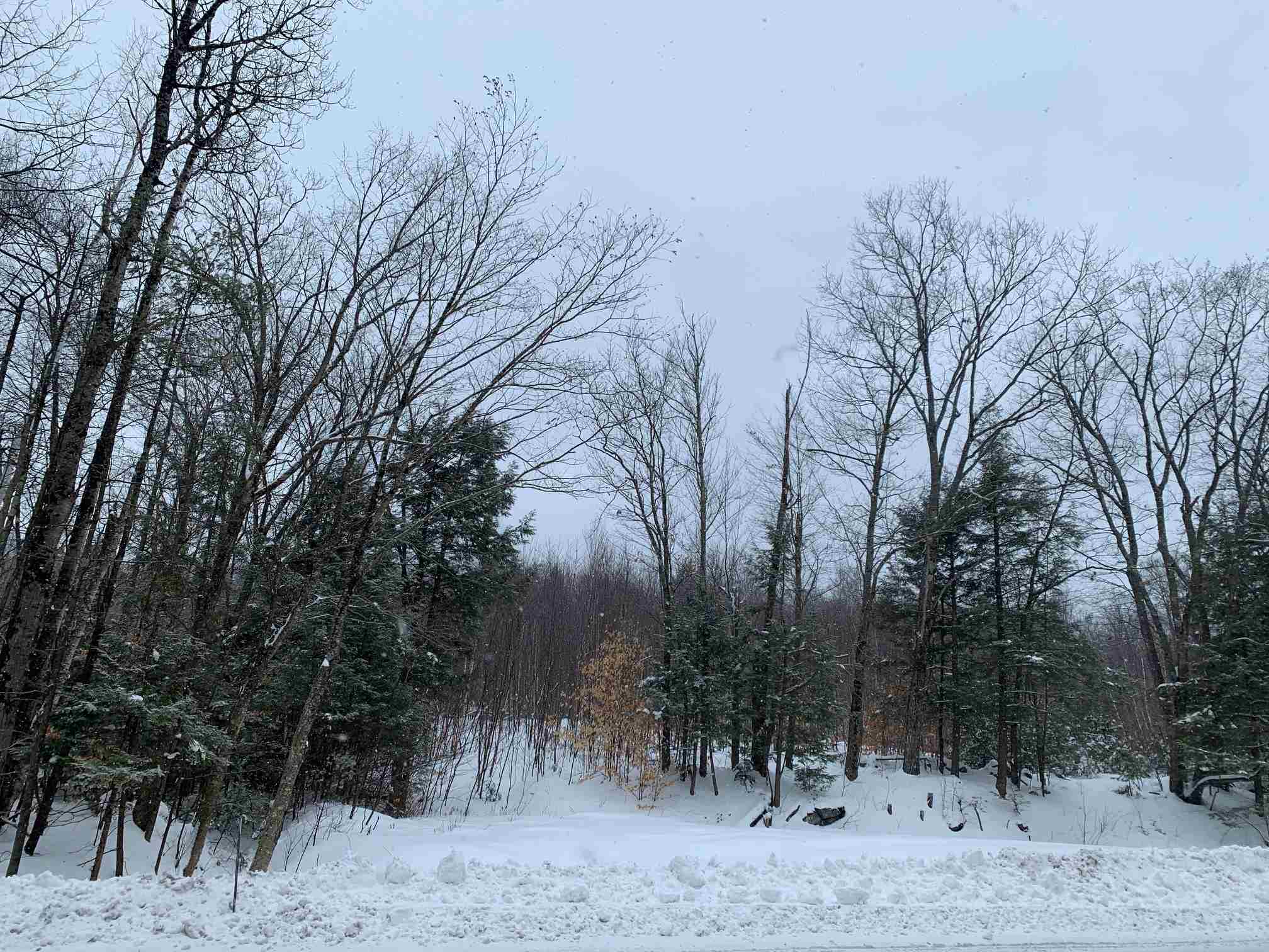 212-021 Keene Road Antrim, NH 03440 - Photo 3 of 9