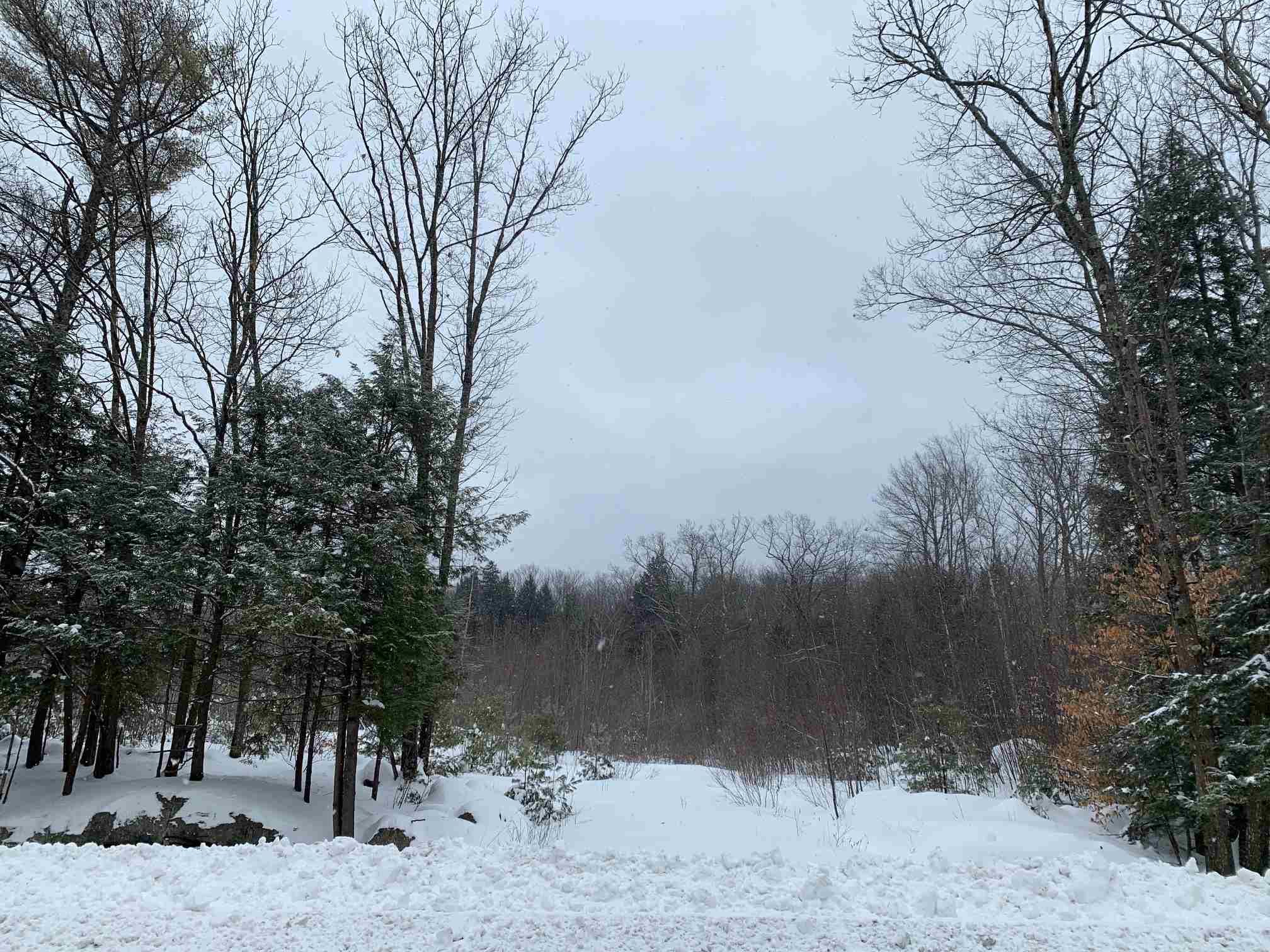 212-021 Keene Road Antrim, NH 03440 - Photo 4 of 9