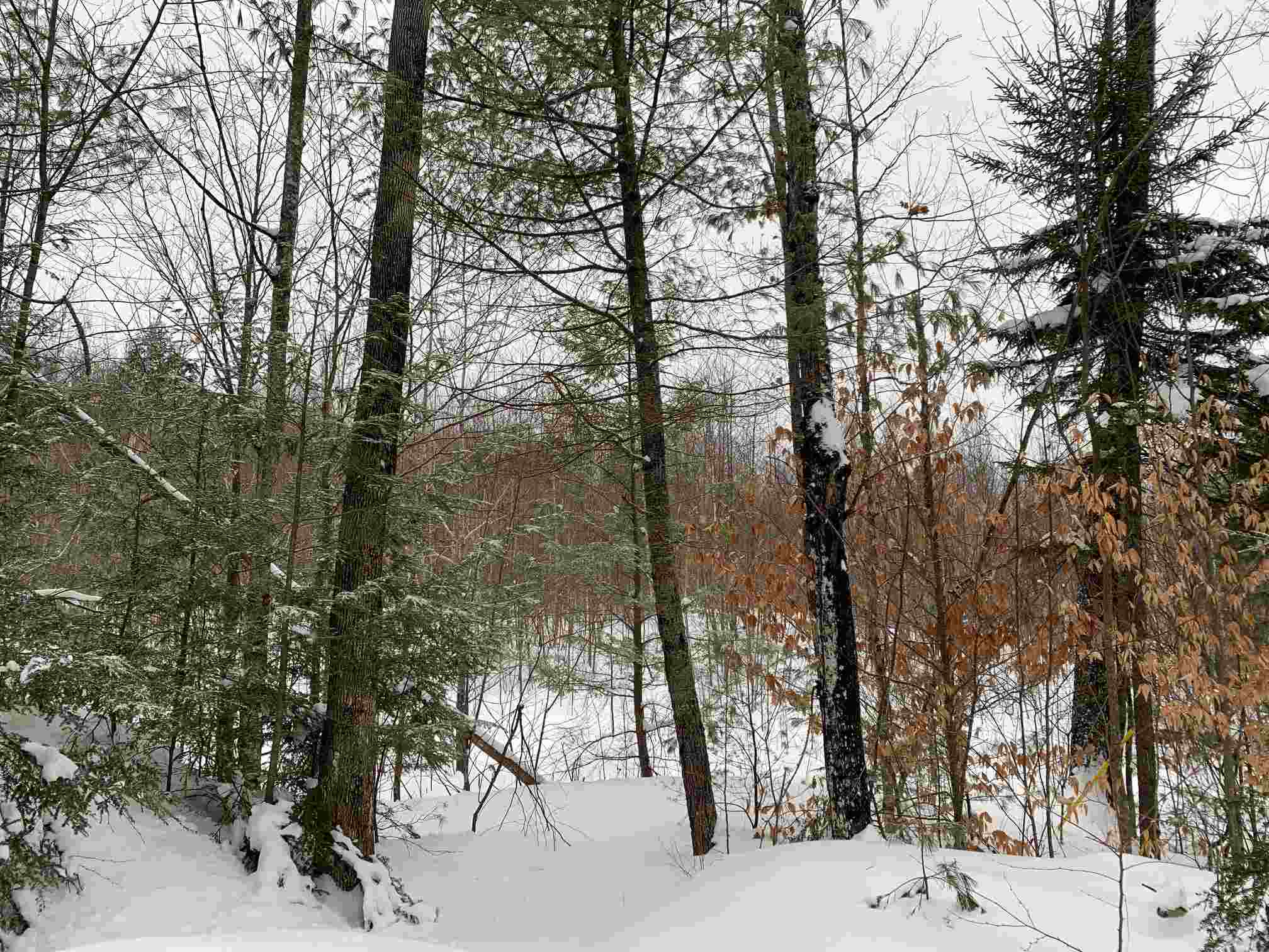 212-021 Keene Road Antrim, NH 03440 - Photo 6 of 9