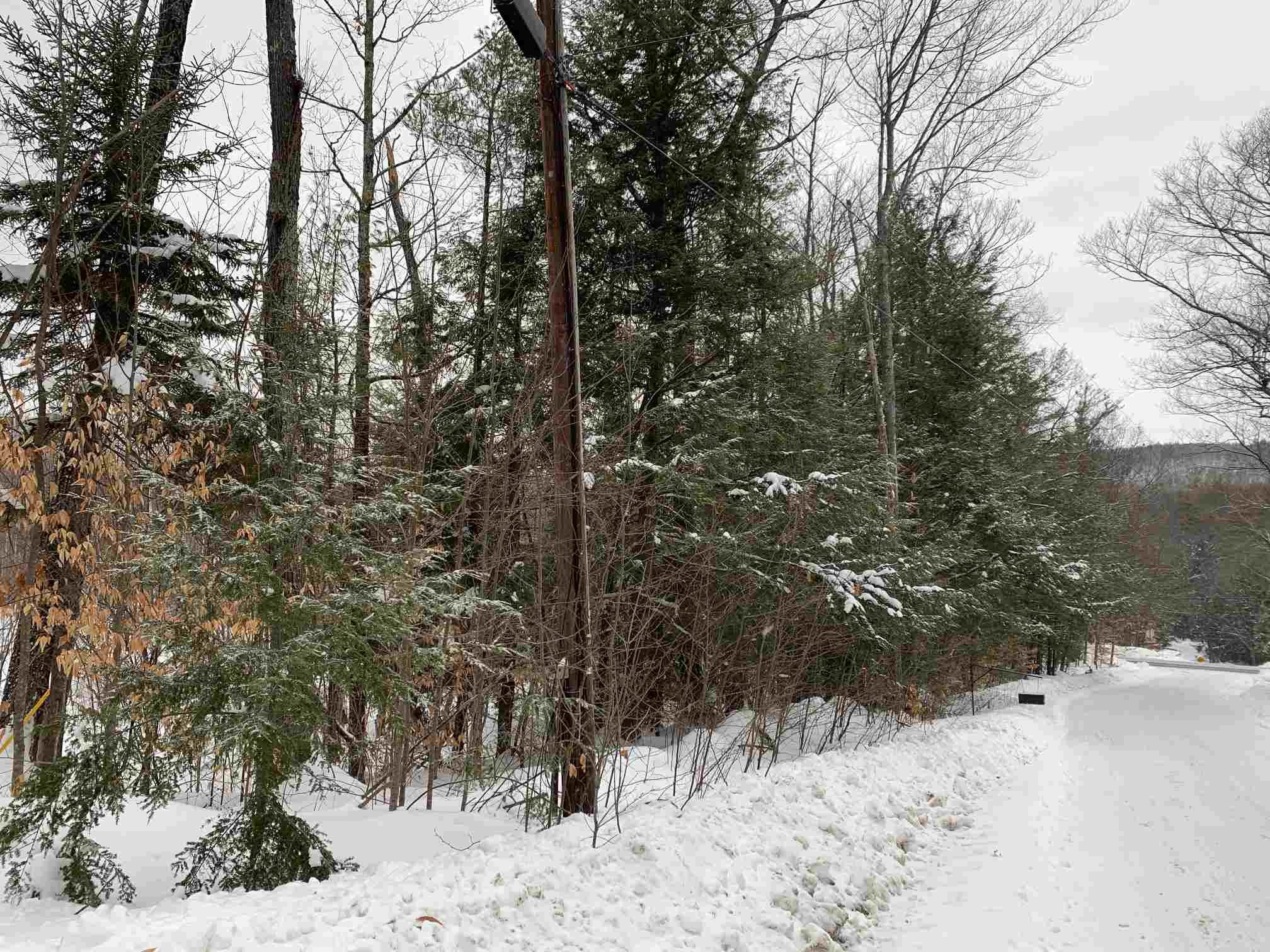 212-021 Keene Road Antrim, NH 03440 - Photo 7 of 9