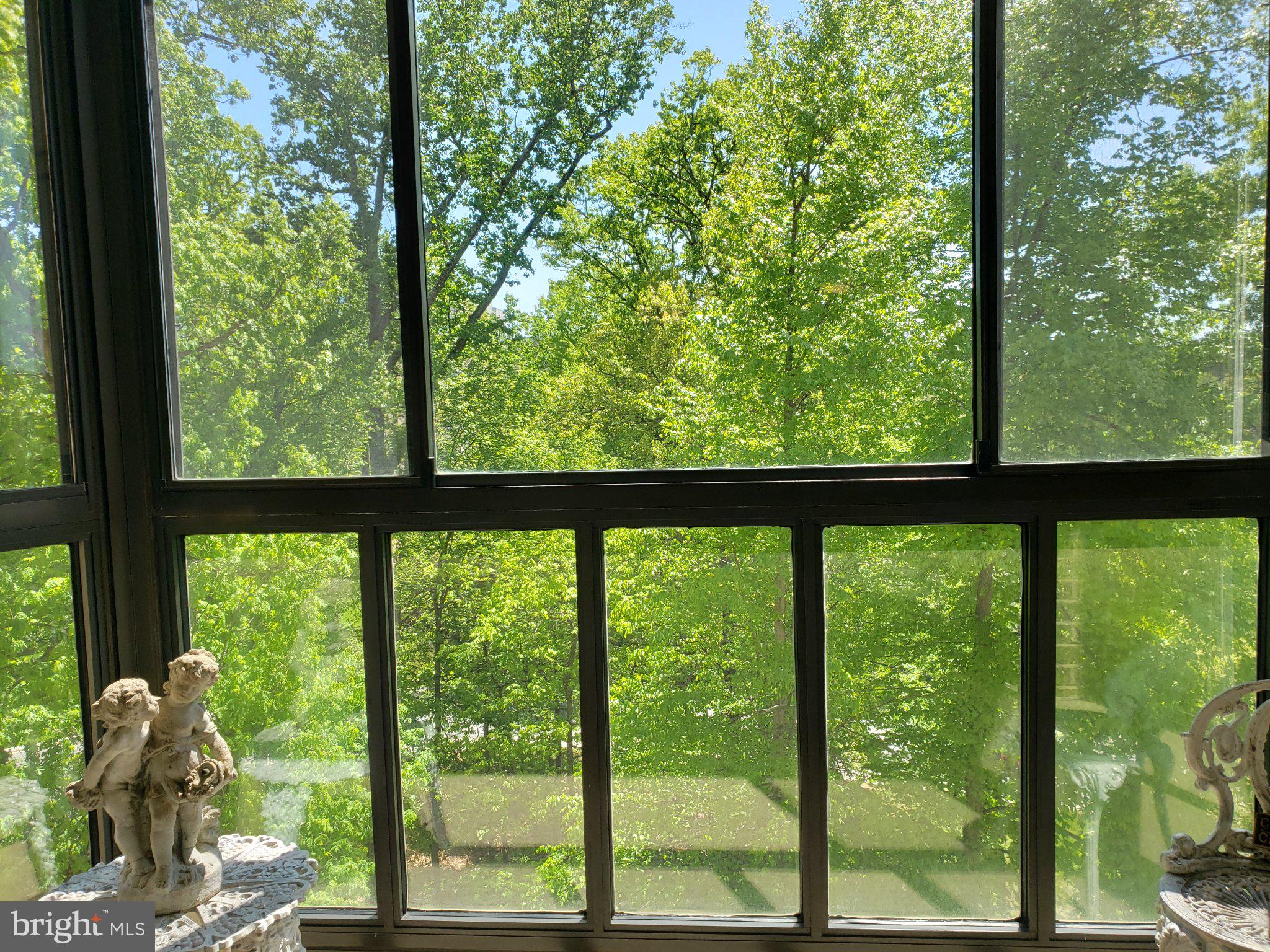 15100 Interlachen Drive, Unit 4520 Silver Spring, MD 20906 - Photo 25 of 39 Serene views of lush greenery.
