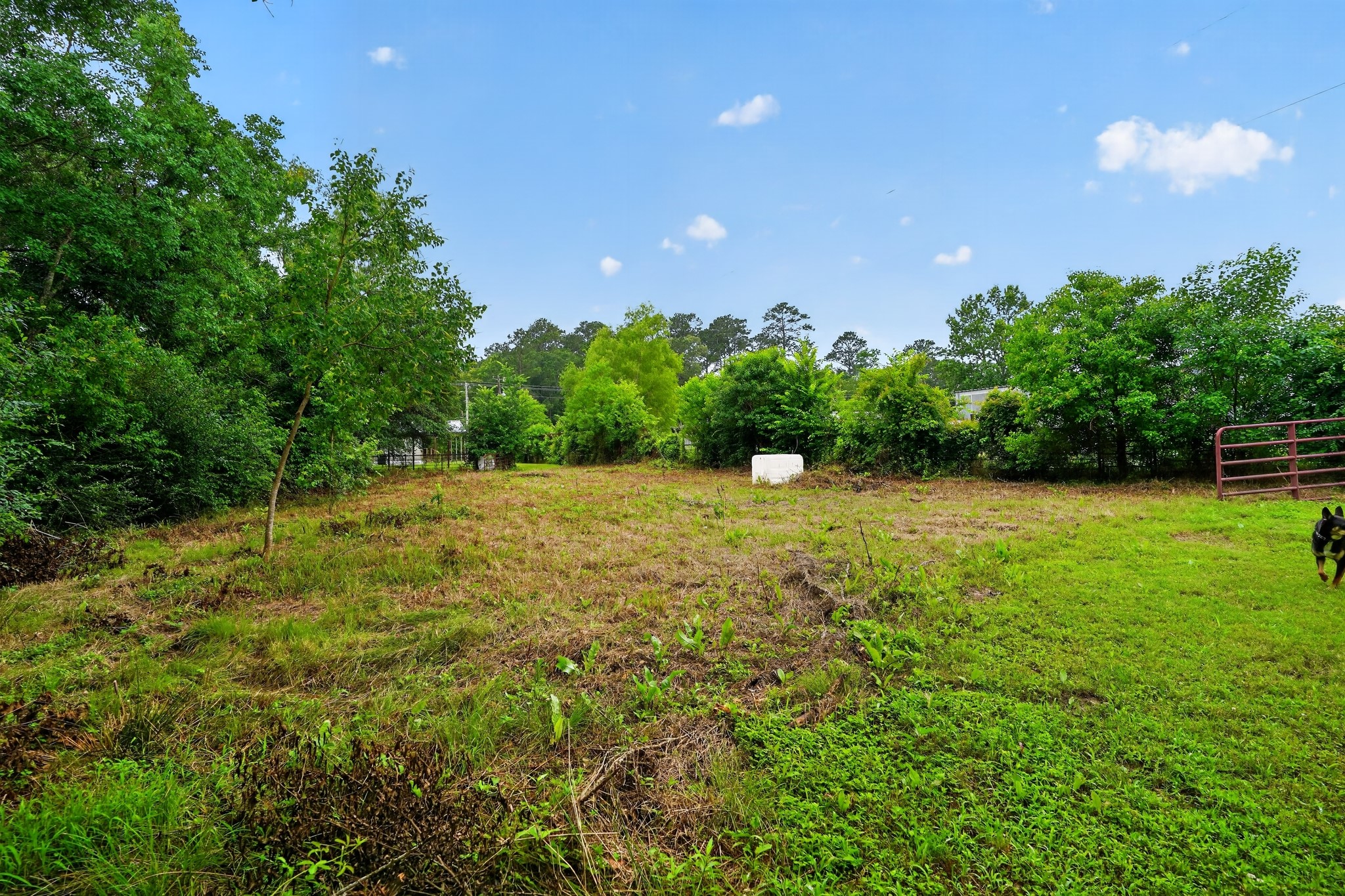 15197 Willis Waukegan Road Conroe, TX 77303 - Photo 8 of 22