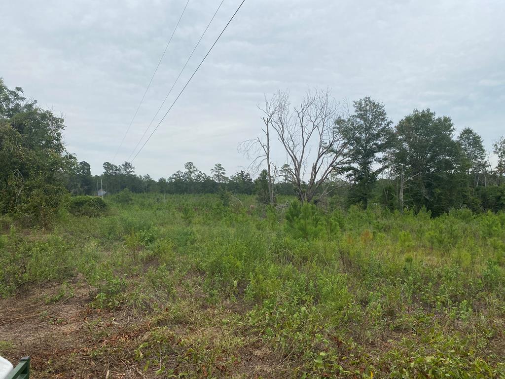 250 Adams Mill Road Clayton, AL 36016 - Photo 49 of 74