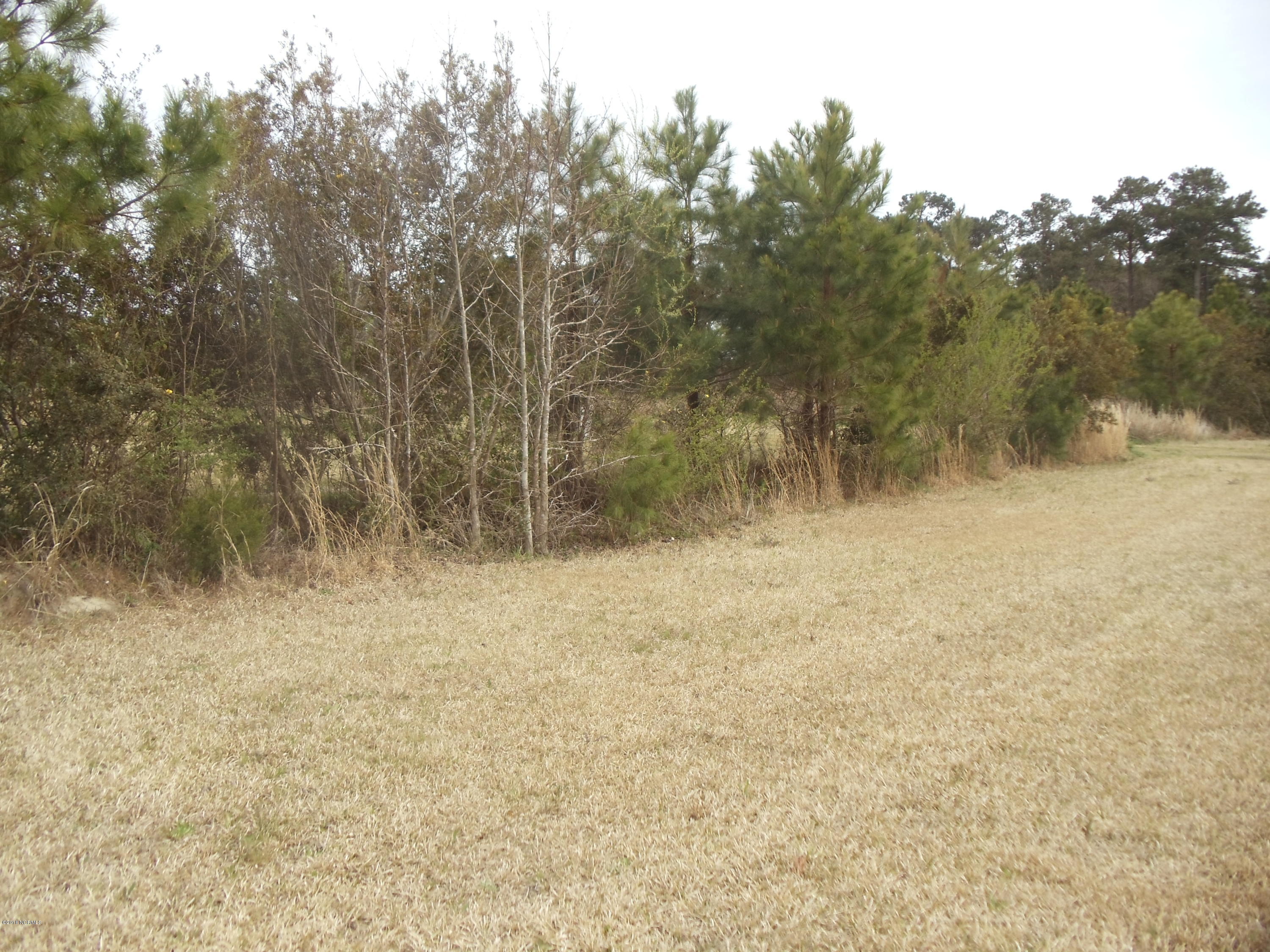 166 Corbett Road Swansboro, NC 28584 - Photo 4 of 9 DSC02422