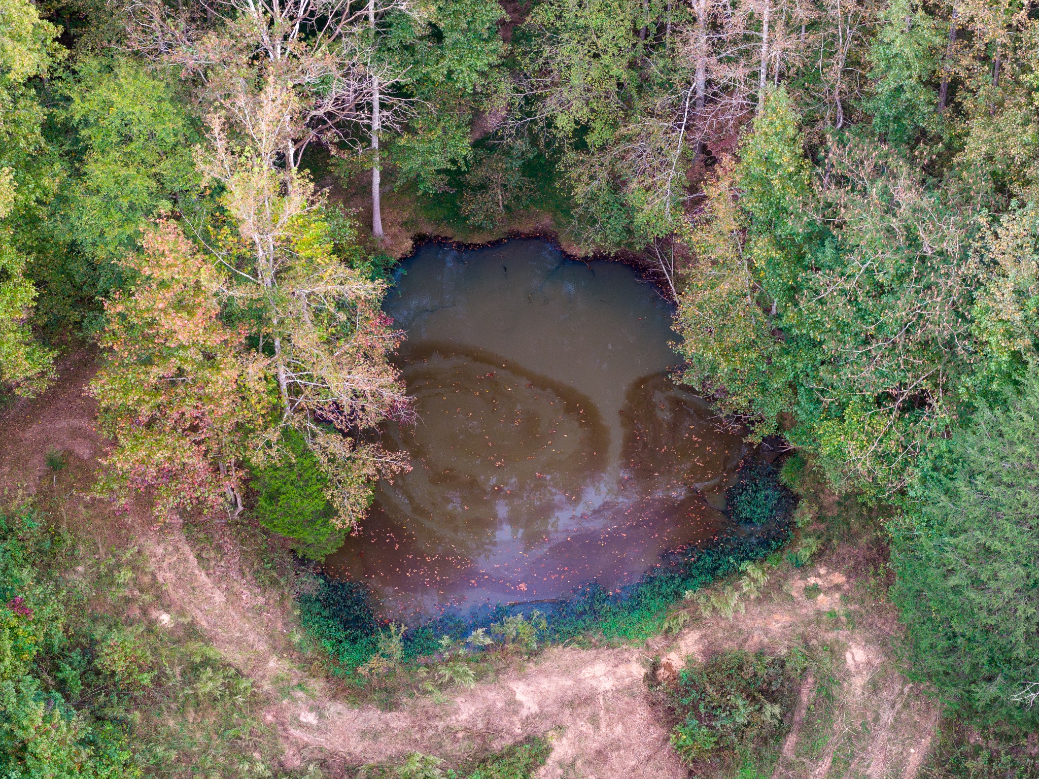 3345 Pigeon Roost Road Pulaski, TN 38478 - Photo 11 of 83 a view of a pathway with a yard