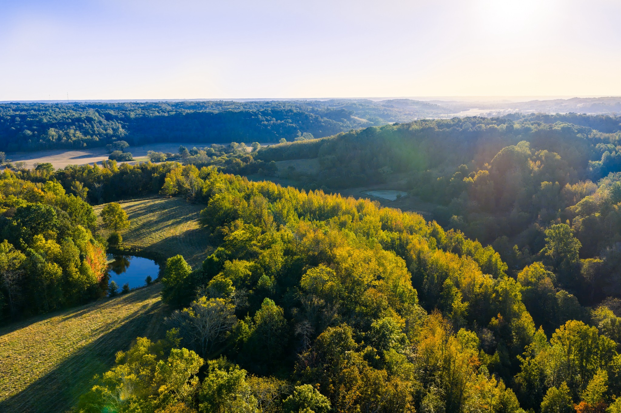 3345 Pigeon Roost Road Pulaski, TN 38478 - Photo 12 of 83