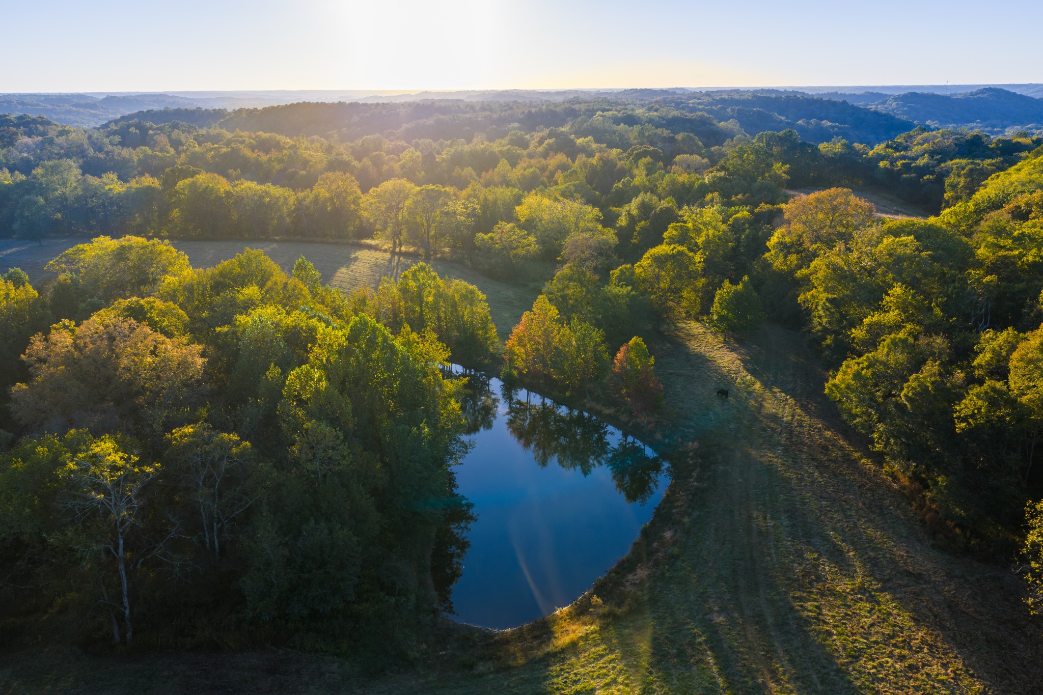 3345 Pigeon Roost Road Pulaski, TN 38478 - Photo 14 of 83