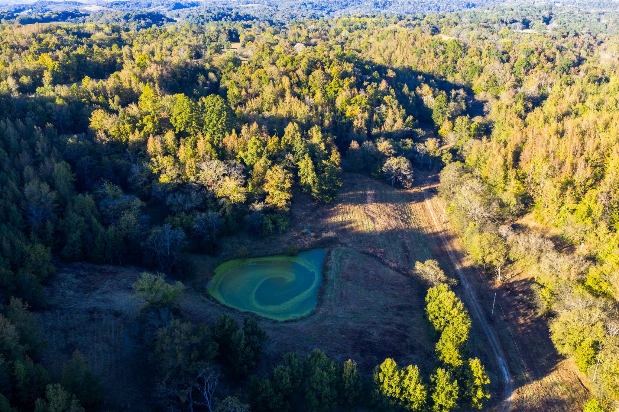 3345 Pigeon Roost Road Pulaski, TN 38478 - Photo 16 of 83