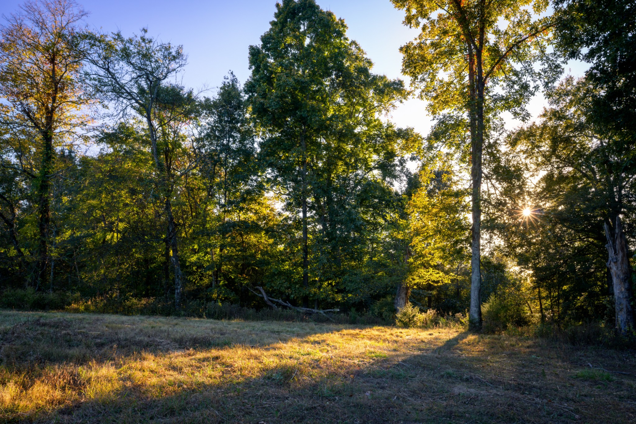 3345 Pigeon Roost Road Pulaski, TN 38478 - Photo 20 of 83