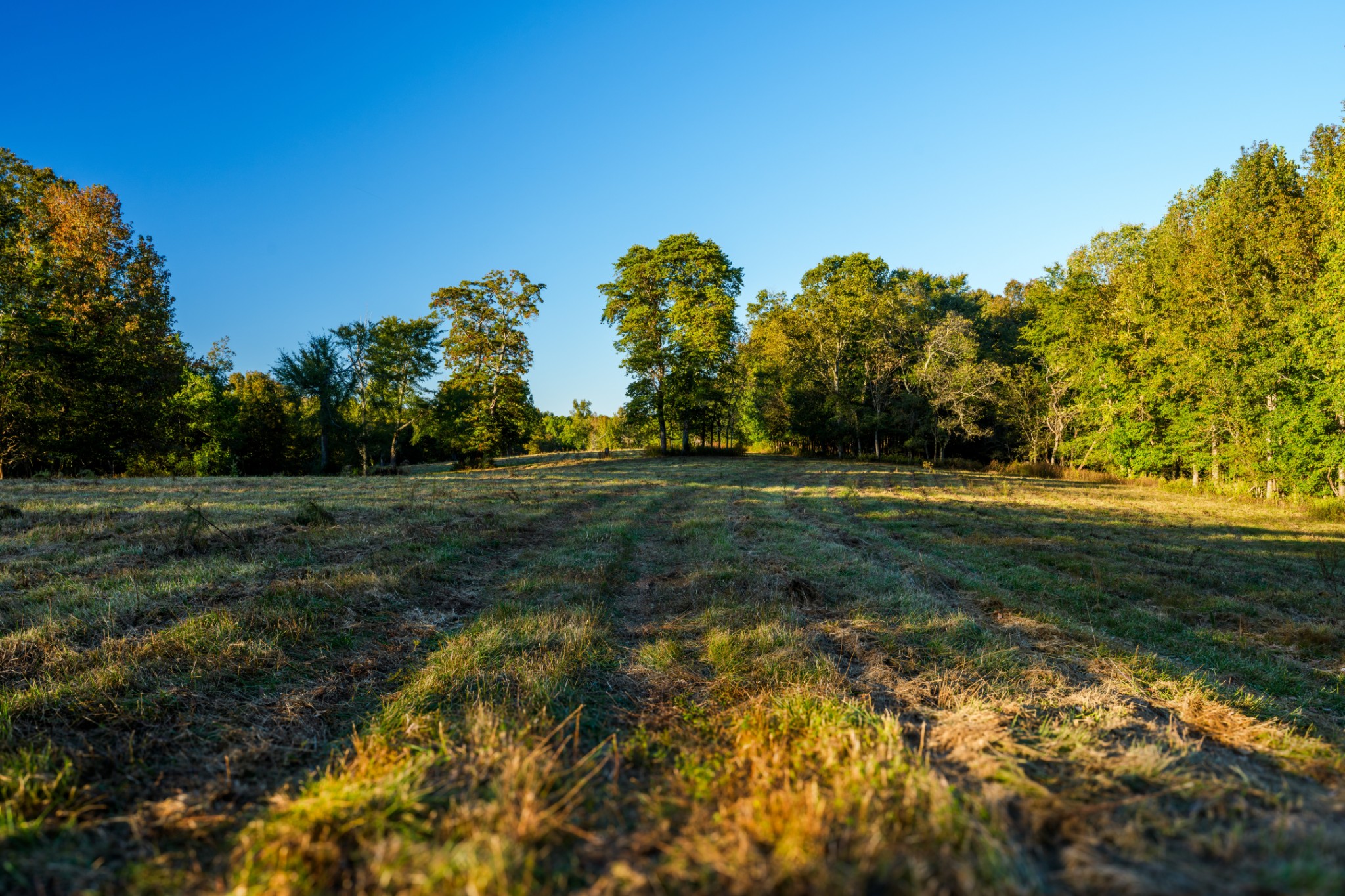 3345 Pigeon Roost Road Pulaski, TN 38478 - Photo 21 of 83