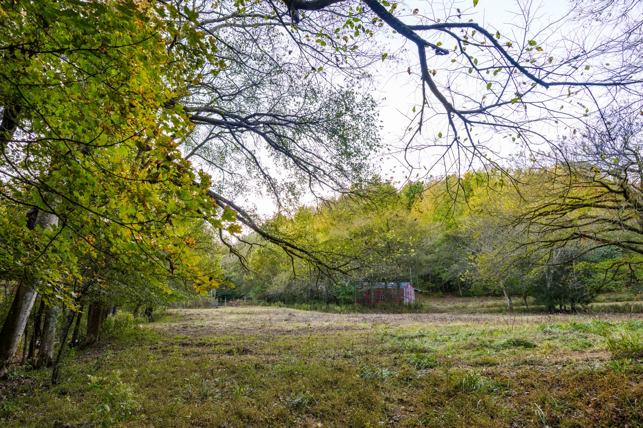 3345 Pigeon Roost Road Pulaski, TN 38478 - Photo 26 of 83 a view of outdoor space and yard