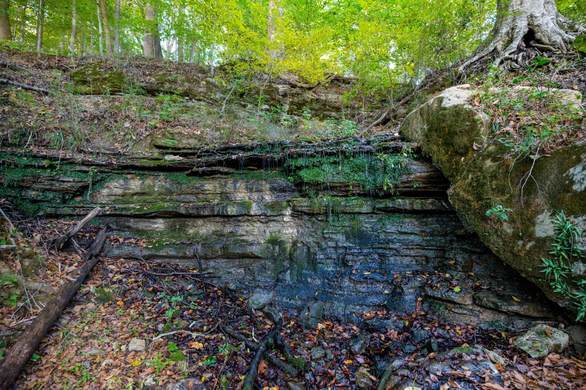 3345 Pigeon Roost Road Pulaski, TN 38478 - Photo 32 of 83 a view of a water pond with green space