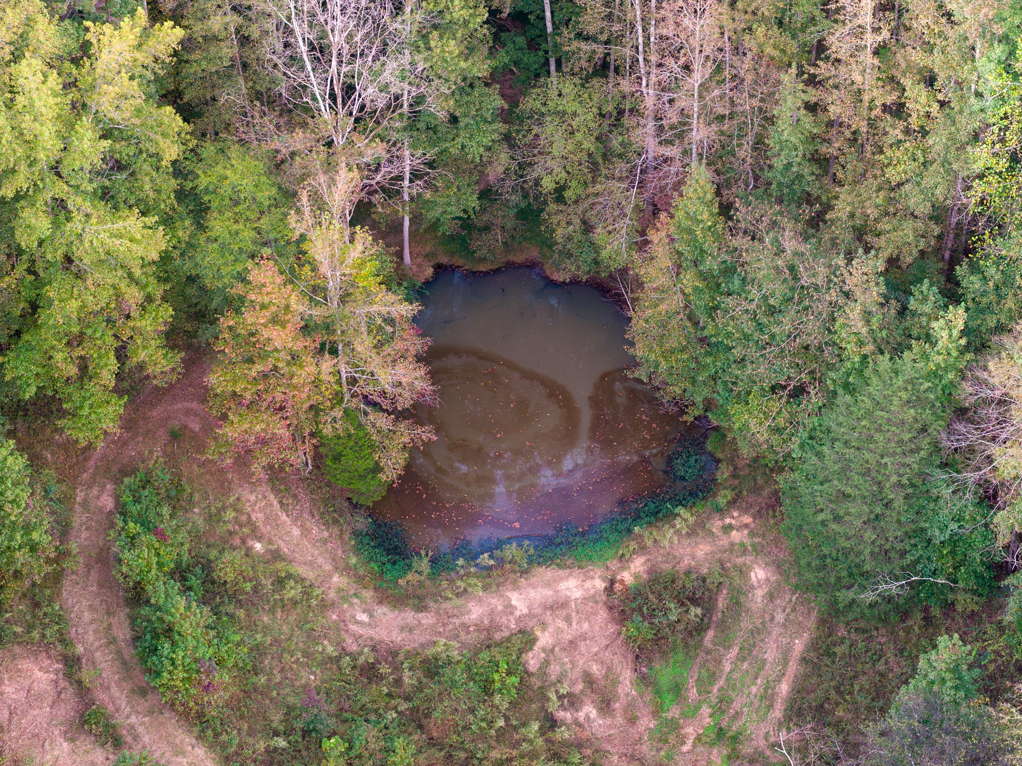 3345 Pigeon Roost Road Pulaski, TN 38478 - Photo 33 of 83 a view of a garden with lawn chairs