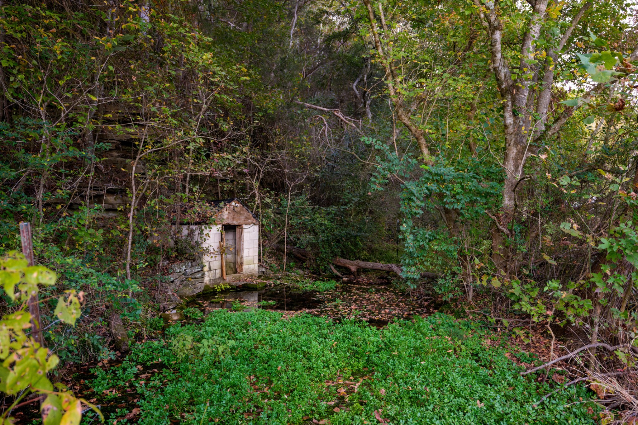 3345 Pigeon Roost Road Pulaski, TN 38478 - Photo 36 of 83 a view of a house with a yard
