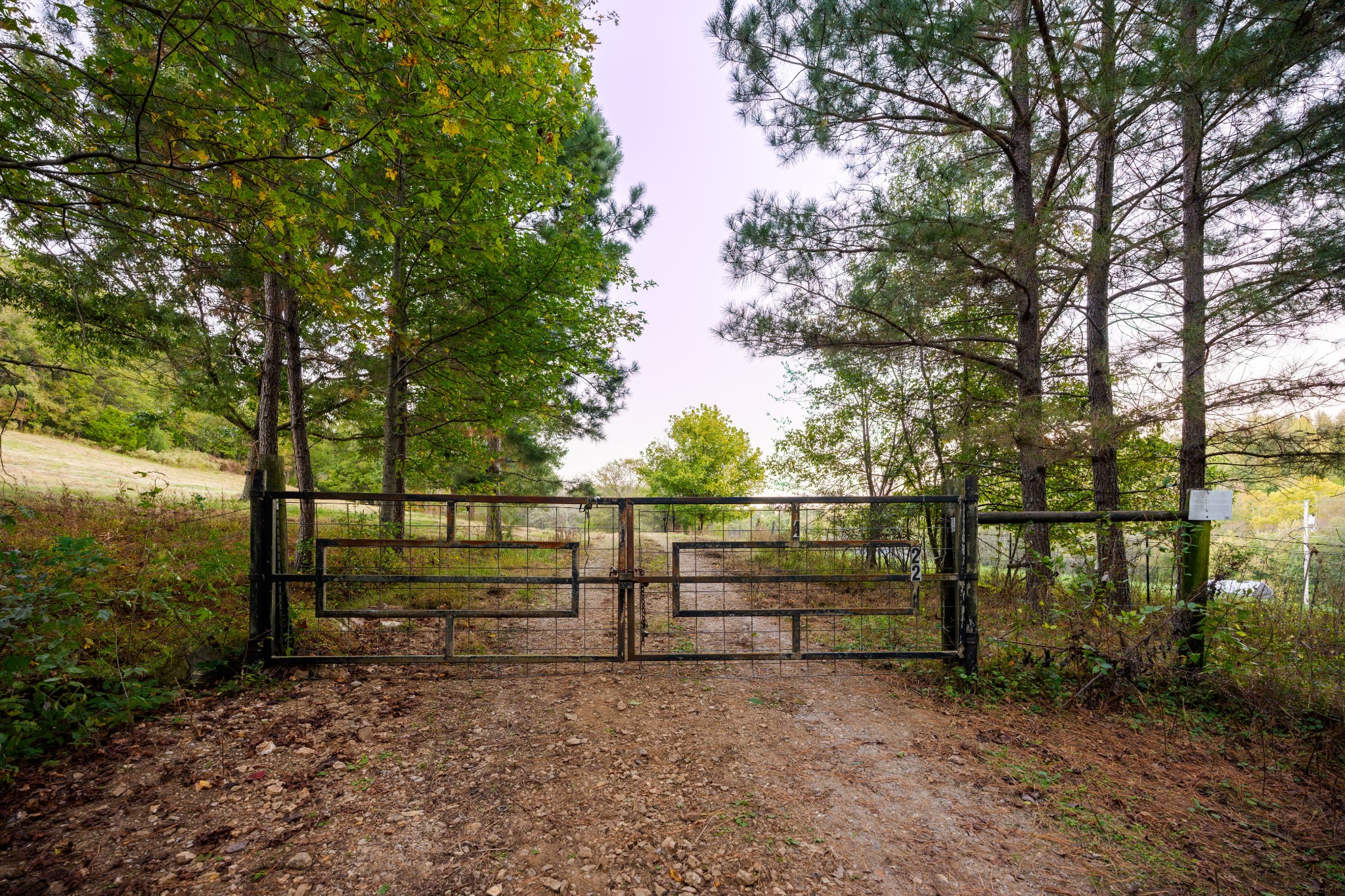 3345 Pigeon Roost Road Pulaski, TN 38478 - Photo 38 of 83 a view of outdoor space with large trees