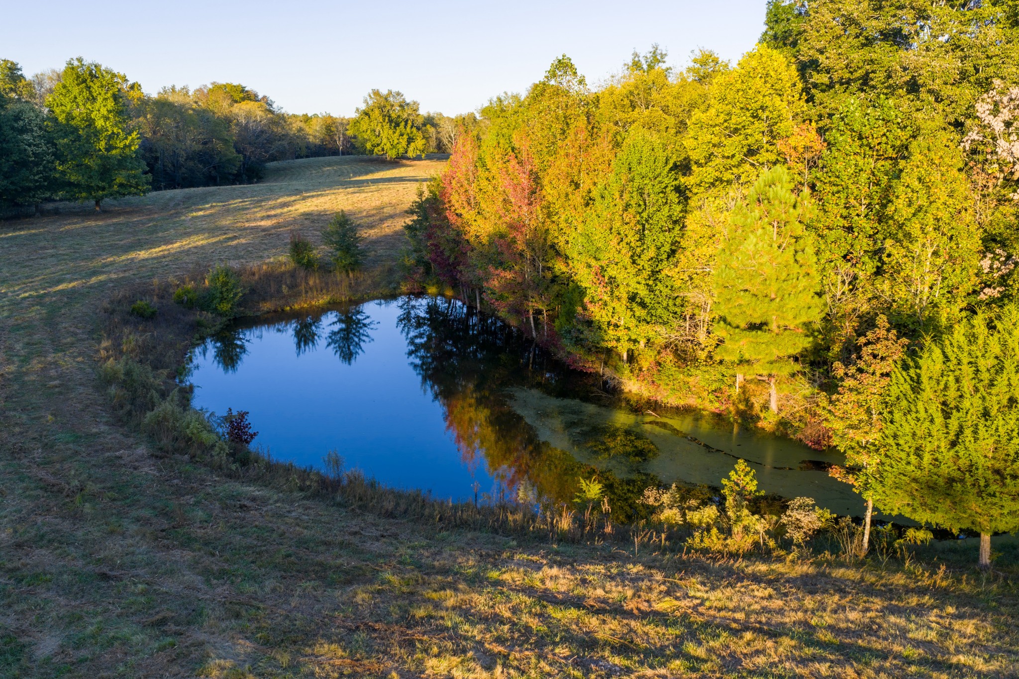 3345 Pigeon Roost Road Pulaski, TN 38478 - Photo 39 of 83 a view of lake from next to house