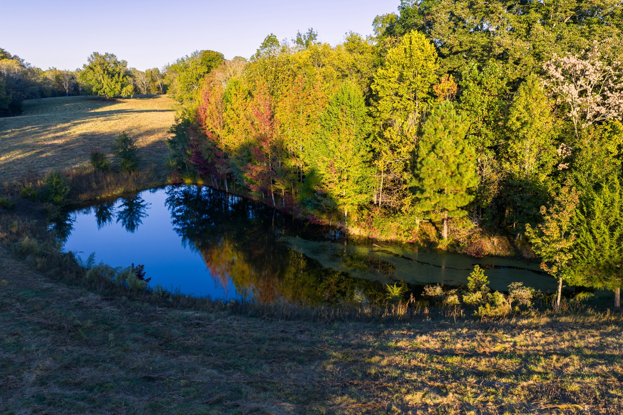 3345 Pigeon Roost Road Pulaski, TN 38478 - Photo 41 of 83 a view of a lake