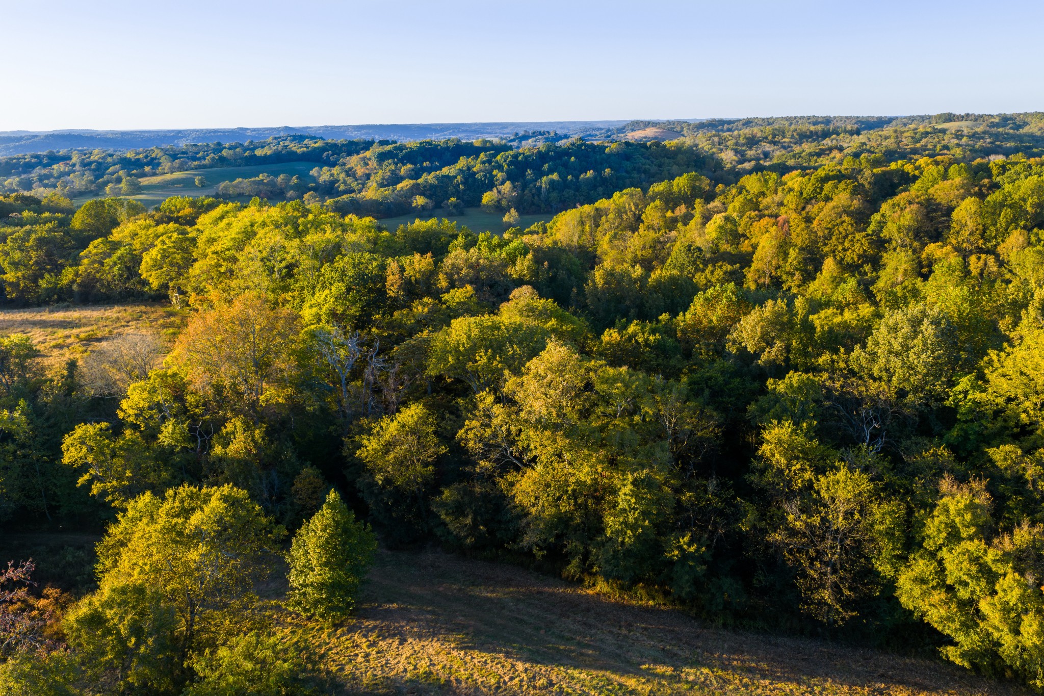 3345 Pigeon Roost Road Pulaski, TN 38478 - Photo 42 of 83